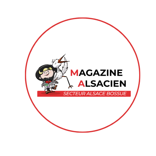 site lepolecom rond LOGO LE MAGAZINE DU PETIT ALSACIEN